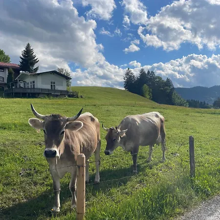 Alpenlicht Oberstdorf
